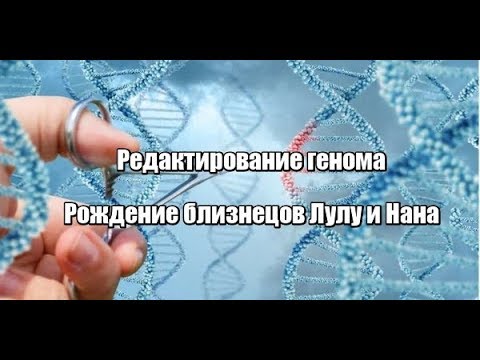 Video: Transkripční Přeprogramování Genové Exprese U Embryí Transferujících Chromatin Hovězího Somatických Buněk