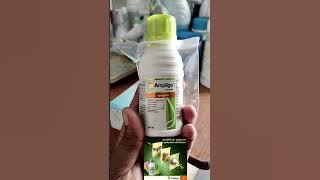 Ampligo || ampligo used in rice. #ampligo #ampligosyngenta #syngenta #ampligoinsecticide