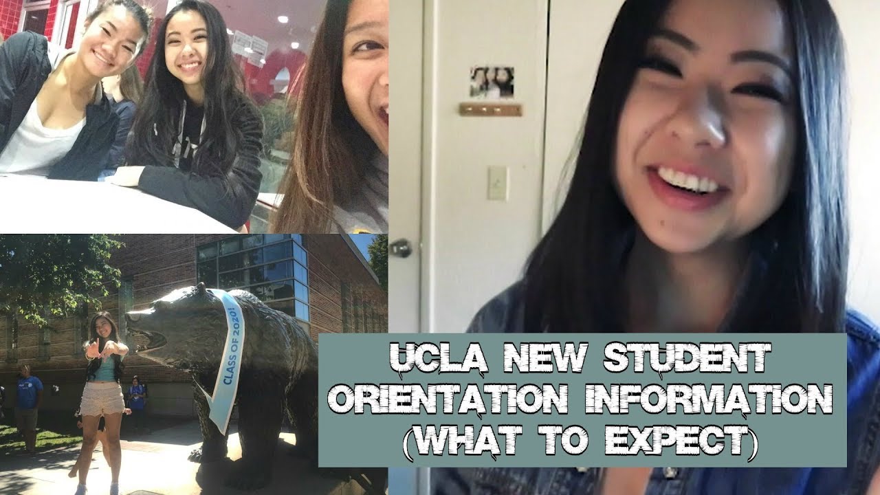 UCLA New Student Orientation Information (What to Expect) YouTube
