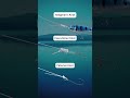 Fishing Knot Tutorial | Easy Knot Tying Tips for Beginners 🎣🔥🔥🔥 Find BIO🎁20% OFF Code: REEFFUN20