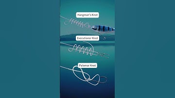 Fishing Knot Tutorial | Easy Knot Tying Tips for Beginners 🎣🔥🔥🔥 Find BIO🎁20% OFF Code: REEFFUN20