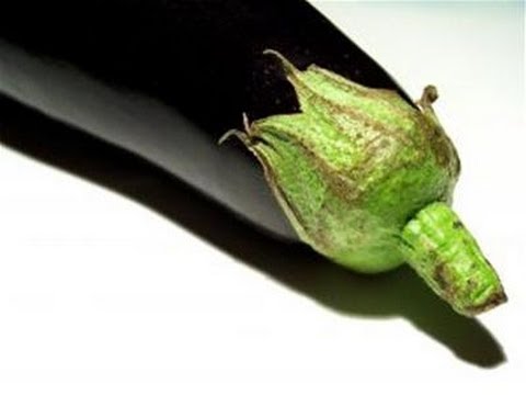 Come piantare Melanzane