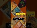 رسالة الحبيب Tarot 