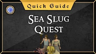 [Quick Guide] Sea slug