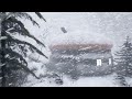 BRUTAL ALASKAN WINTER with EXTREME COLD and blizzard for sleeping. SEVERE WINTER STORM, ASMR sounds