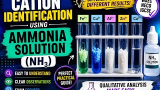 Guide for answering Qualitative Analysis questions (ii). Identification of cations with NH3.