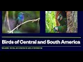 Birds of South America Part I