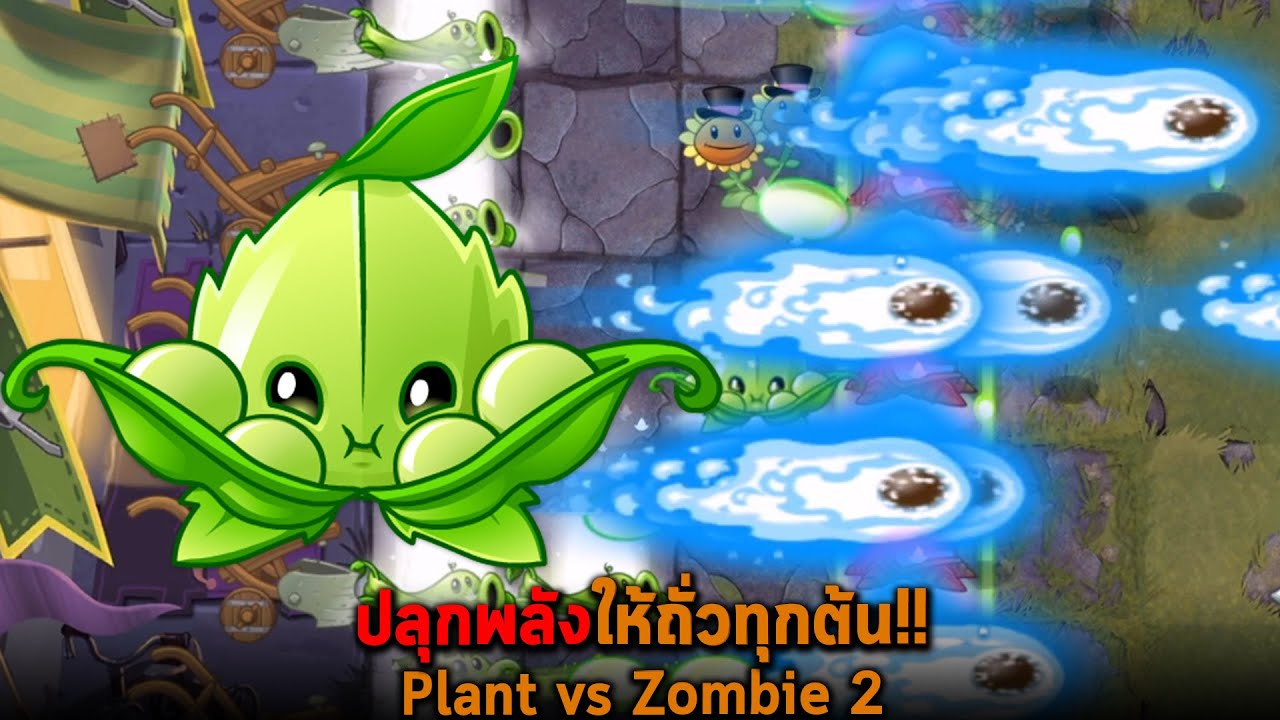 เทพเจ้าถั่วปลุกพลังให้ถั่วทุกต้น Plant vs Zombie 2