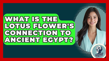 What Is The Lotus Flower