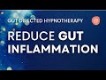 Inflammation healing hypnosis meditation for digestive health  sensitive stomach relief