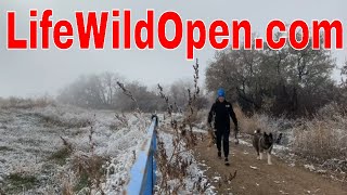 1st Montana Snow of Our Year With My American Akita Chewy by Life Wild Open ® 256 views 5 months ago 8 minutes, 17 seconds