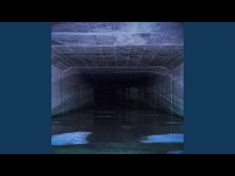 THE DRAIN