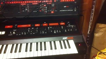 ARP EURO SOY SOS MOSTER VOICE