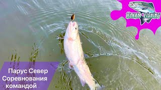 видео: Fox trout team. Первое выступление. МФК 2023. Соревнования по ловле форели картинка: Fox trout team. Первое выступление. МФК 2023. Соревнования по ловле форели