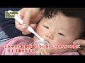 赤ちゃんの歯磨き「歯が生え始めてきたら（8ヶ月頃・離乳食教室頃）」