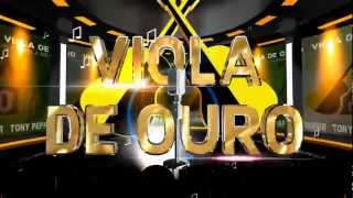 Vinheta Web Programa Viola de Ouro screenshot 3