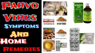 Parvo Virus symptoms and home remedies
