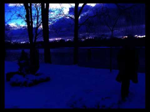 The Caretaker - stardust accords