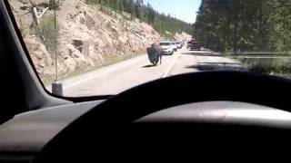 VID 20160622 130814819