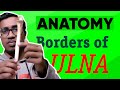Ulna Anatomy Bangla || Borders of Ulna || পিকেএস লেকচার