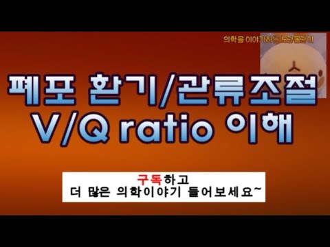 폐포 환기관류조절(ventilation perfusion, V/Q ratio)