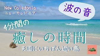 ニューカレドニア Youtube