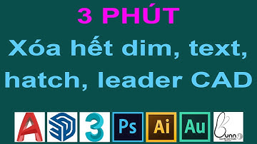 4 lisp xóa toàn bộ trong autocad 2022 | xóa dim, text, hatch, leader trong cad