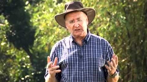 Why we Need Environment Flows?