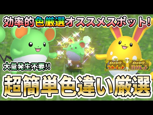 ポケモンSV】マリル・マリルリの色違い厳選オススメスポットはココだ
