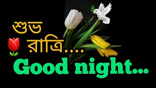 গুড নাইট মেসেজ |শুভ রাত্রি মেসেজ |Good night bondhu |শুভ রাত্রি রোমান্টিক মেসেজ | শুভ রাত্রি gif screenshot 5