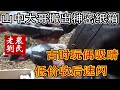 山中老房子里大哥搬出神密纸箱，老刘帮着找岀宝贝，低价收后速闪【老刘收藏之路】