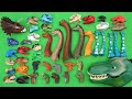 50 Dinosaur Heads! Jurassic World Lego, Real Dino Head Toys For Kids