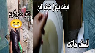 اخطر انواع المرض دخل للمزرعه وفقدنه طير للسف افضل علاج للقمل بدون منازع ?عقمت المكان كله