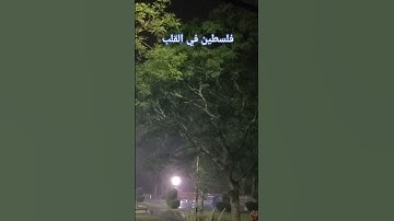 قرآن كريم #اكسبلور اللهم إجعل القرآن ربيع قلوبنا...