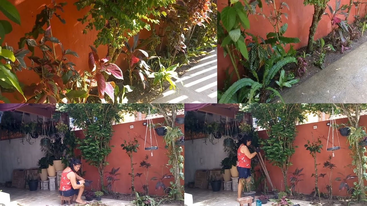 MANUTENÇÃO DO CANTEIRO !VEJAM O ANTES E O DEPOIS ..#jardimmanutenção 