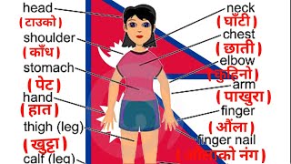 हाम्रा शरीरका अङ्गहरु, Body parts Name 🇳🇵Nepali, English for Man with picture ||Technical Nepal_GS |