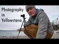 Yellowstone Landscape and Wildlife Photography Trip