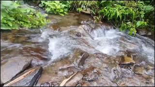 Beautiful River on Mountain. Nature Sounds, Waterfall Stream. White Noise for Sleeping