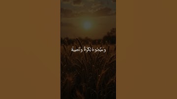 وَكَانَ ٱللَّهُ بِكُلِّ شَيۡءٍ عَلِيمٗا#ياسر_الدوسري سورة الاحزاب #اجر_لي_ولكم