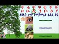 Letter Ayin2 Netsereab Tewolde Yenetagojjo1 Askualla Gra 1 6 Mayainfotain1 Tik Netsereabtewolde5 Letter Ayin2 Netsereab Tewolde Yenetagojjo1 Askualla Gra 1 6 Mayainfotain1 Tik Netsereabtewolde5