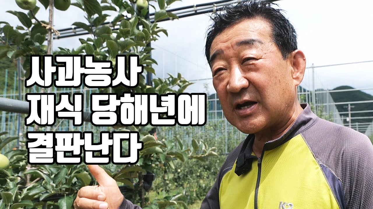 생식생장으로 출발, 조기 착과시켜라