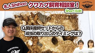 Q.菌床産卵セットからの成虫の取り出しのタイミングは？[再編]