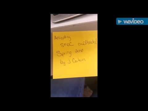 Accepting SFDC callbacks