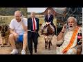 😂 Trump & Netanyahu Steal Putin’s Cows?! 🐄🇺🇸🇮🇱🇷🇺