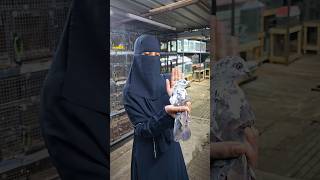 அடம் புடிச்சு🤦 -  இந்த புறாவை🕊️வாங்கிட்டா🧕 #shorts #pigeon #tranding