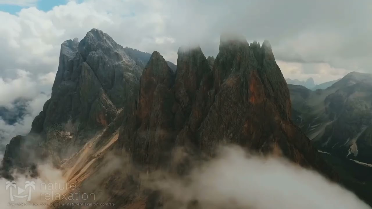 5 Minutes of Nature Therapy 🍃💚 | Relax Your Mind Instantly