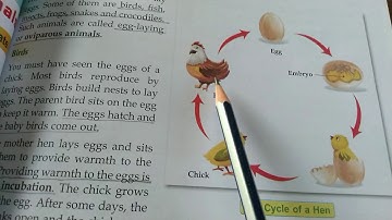 4th, Science,Ch-8(Reproduction in Animals) Part-1