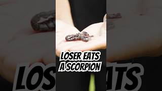 Loser Of This Match Eats A Scorpion