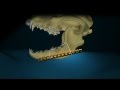 Dog jaw surgery animation