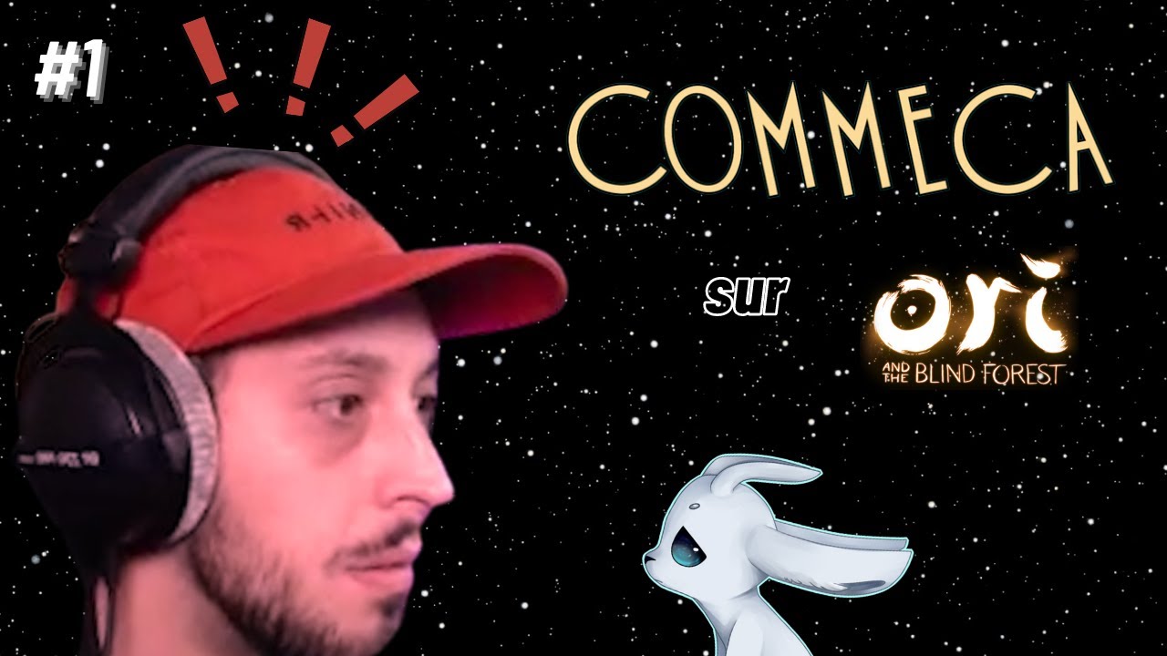 Ce passage m'a rendu FOU !!! ORI AND THE BLIND FOREST #1 - YouTube